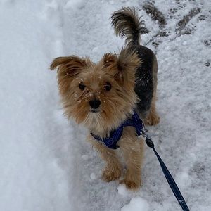 Meet your Posher, Jamie